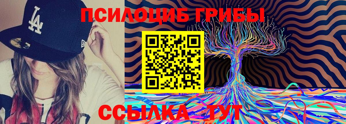 Псилоцибиновые грибы прущие грибы Рыбинск