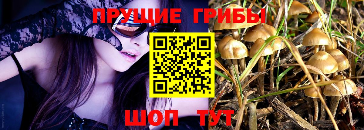 где продают наркотики  Галлюциногенные грибы ЛСД  Вход с VPN  Псилоцибиновые грибы GOLDEN TEACHER  Рыбинск 