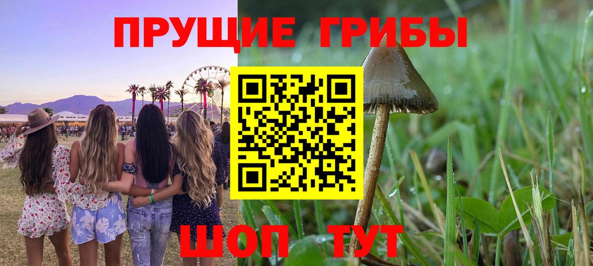 ГЕРОИН Рыбинск